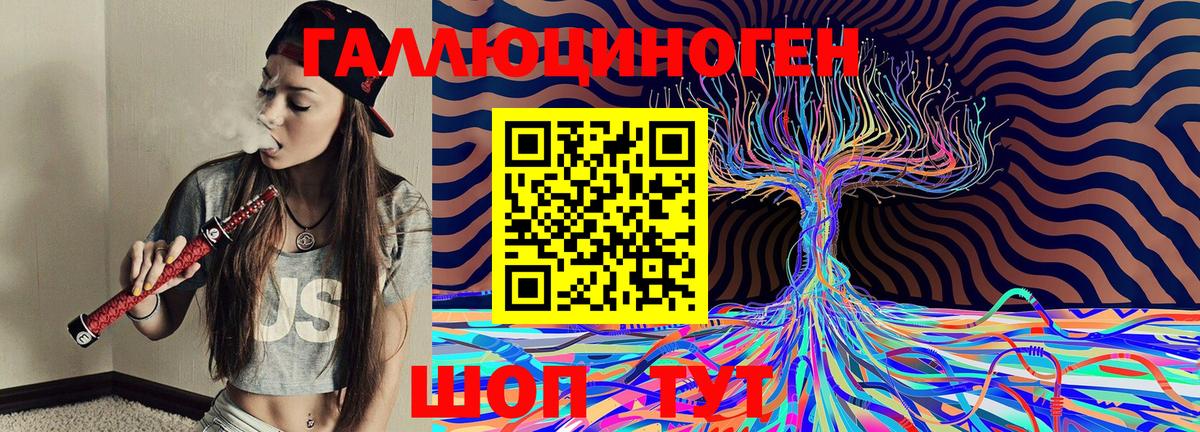 Бийск  Псилоцибиновые грибы Psilocybe  Вход с VPN 